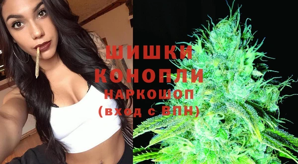 дживик Абинск