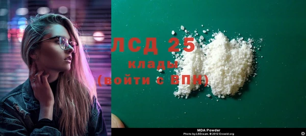 гашик Алексин
