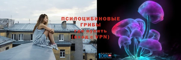 хмурый Алексеевка