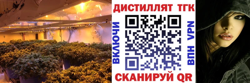 ТГК вейп  Циолковский 
