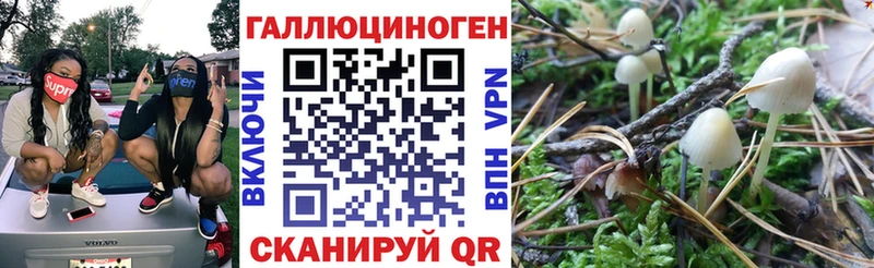 Псилоцибиновые грибы MAGIC MUSHROOMS  цена наркотик  Циолковский 
